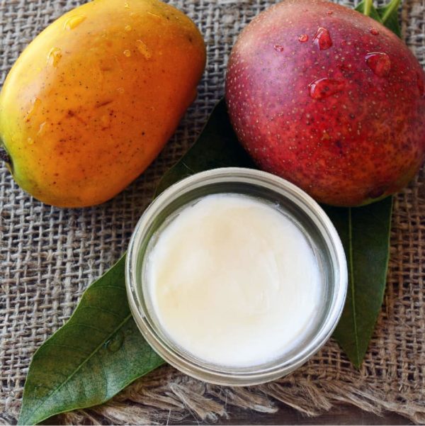 Mangokernbutter Bio – Bild 3