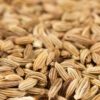 Fenouil doux l’huile essentielle BIO – Image 3