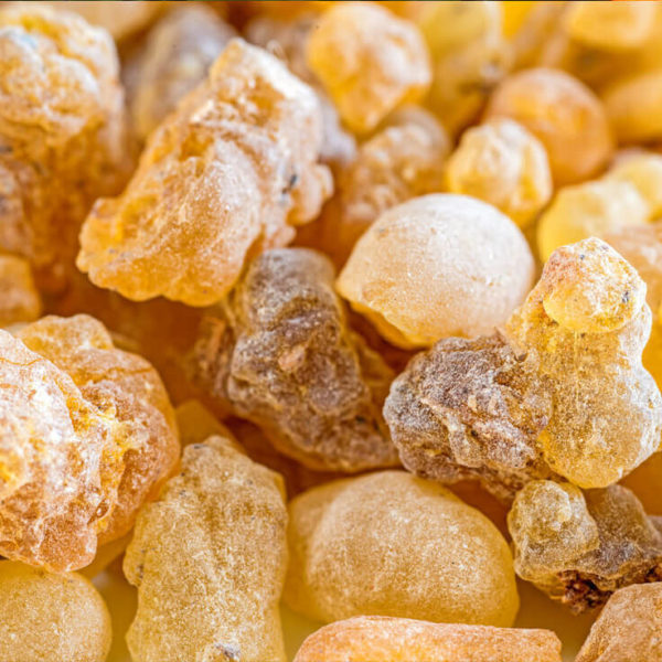 Olibanum ätherisches Bio-Öl – Bild 3