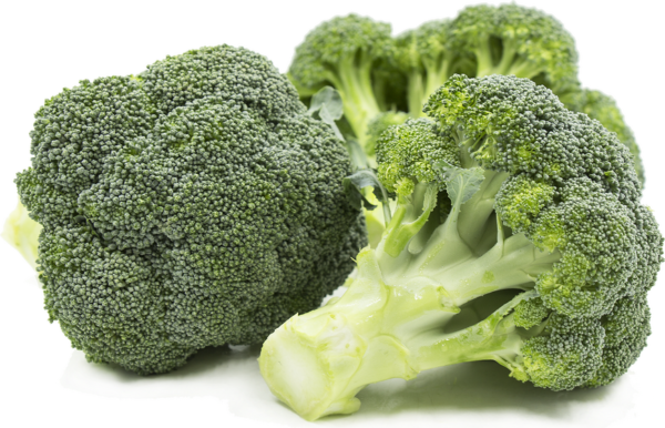 Brocoli huile BIO – Image 2