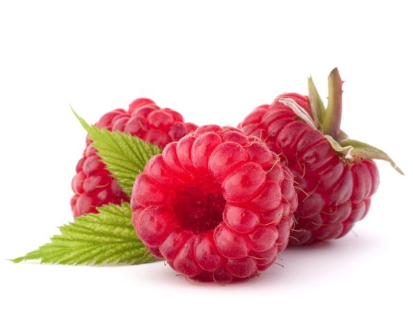 Himbeersamenpulver Bio – Bild 2