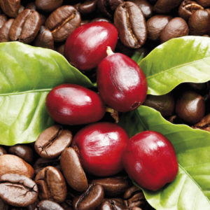 Kaffeebohnenöl Bio