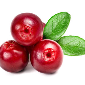 Cranberrysamenöl Bio