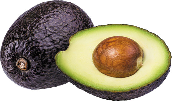 Avocadoöl Bio