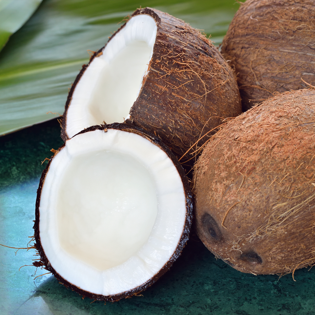 Beurre de Cacao désodorisé BIO - Jojoba Gold - Huiles certifiées
