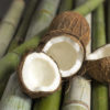 Beurre de Coco raffiné BIO en vrac – Image 2