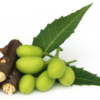 Neem oil Organic in bulk - Image 3