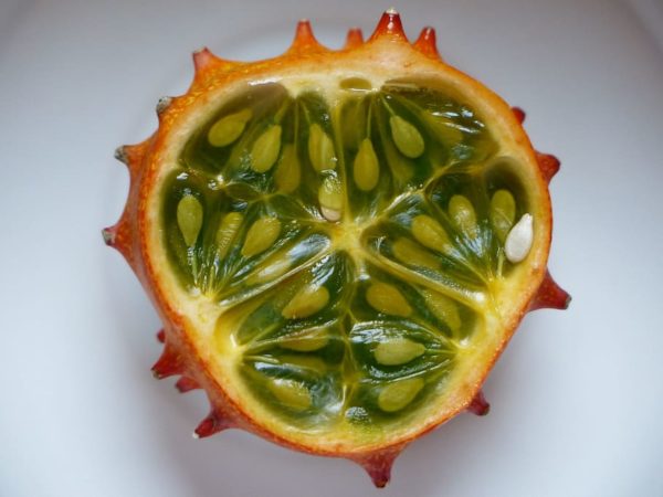 Passionsfruchtöl Bio in loser Schüttung – Bild 4