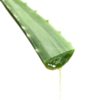 Aloe Vera BIO macérât huileux en vrac – Image 3
