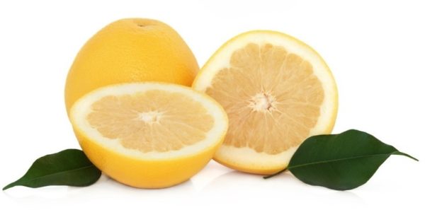 Grapefruitöl weiß ätherisches Bio-Öl – Bild 2