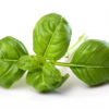 Basil Sweet ct. Methyl chavicol essential oil Organic - Image 2